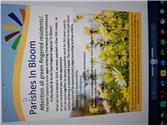 Parishes In Bloom competition